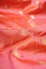 Handloom Paithani Silk Saree - Classic Pallu - Aboli