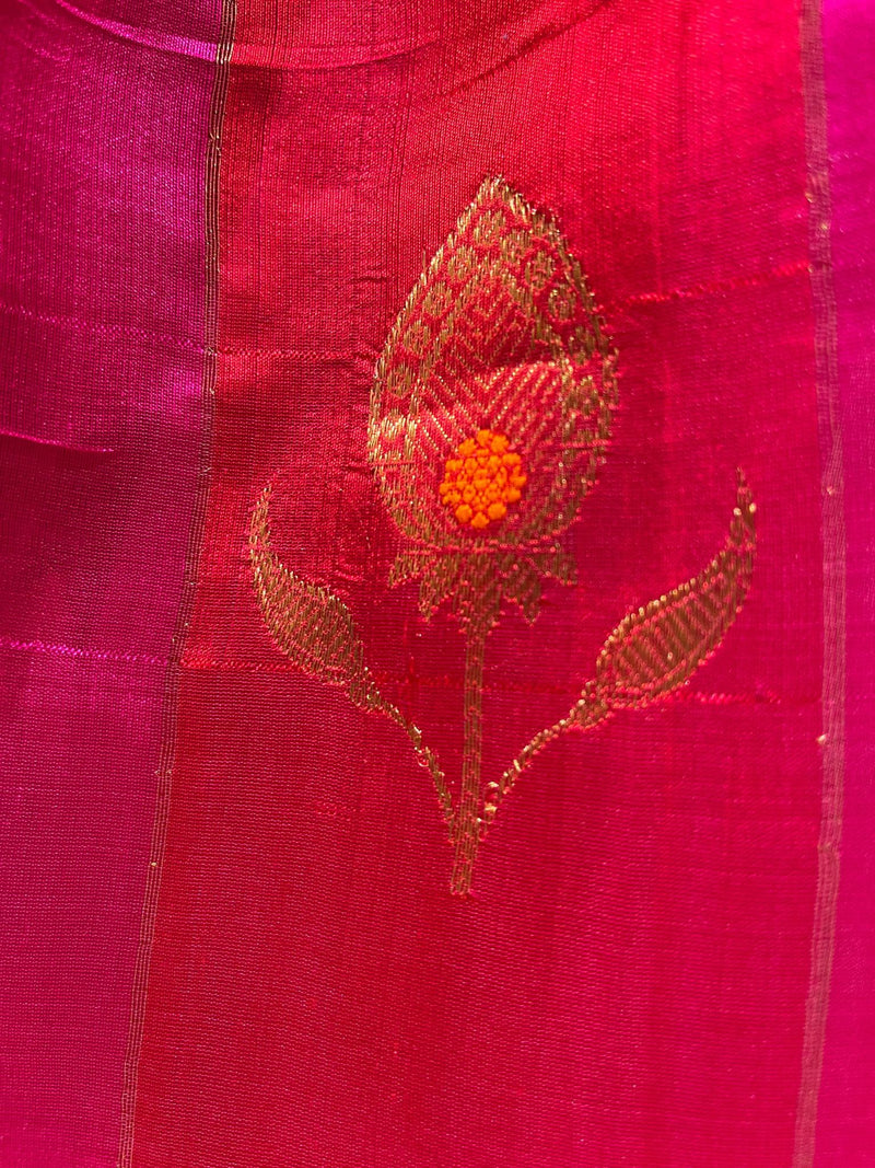 Handloom Chanderi Silk Saree - Peacock Feather - Pink