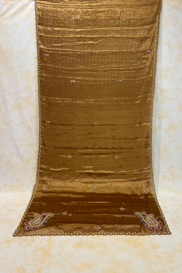 HOV Handloom Chanderi Full Tissue Saree - Handwork Paisley - 005-01