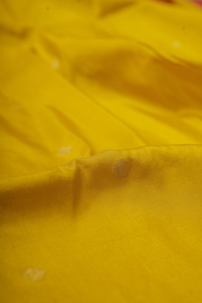 Handloom Paithani Silk Saree - Single Muniya Border Yellow